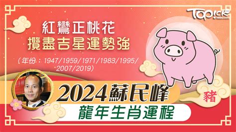 豬年2024運程|2024 肖豬流年運程 